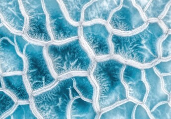 Poster - Intricate Microstructure of Blue Tissues Showcasing Delicate Patterns with a Combination of Textures, Perfect for Scientific, Biological, and Artistic Representations