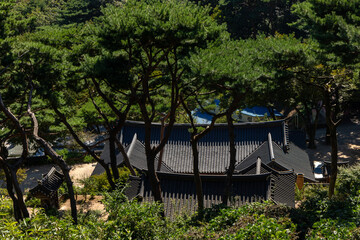 Wall Mural - Traditional Hanok and Forest korea