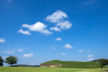 Wall Mural - field and blue sky