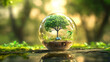 © Rabiyah - ESG Renewable Energy and Circular Economy in Environmental Protection Framework