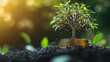 © Rabiyah - ESG tree growing on coin stack symbolizing sustainable investment and development in modern organizations