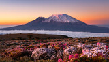 Mount Kilimanjaro majestically rises above a sea of clouds, showcasing its snow-capped peak glowing in the golden light of sunset