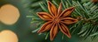 © Giovanni - Star anise spice elegantly placed on a fresh fir branch against a softly lit background creating a warm and festive atmosphere
