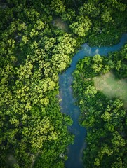 Poster - Aerial View of Lush Green Forest Surrounding Serene River for Nature Escapes : Generative AI