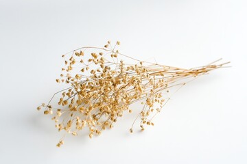 Poster - A minimalistic and artistic composition of dried flowers laid against a simple white background, offering a sense of elegance, fragility, and timeless beauty.