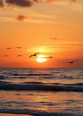 Wall Mural - Beach Wallpaper of Sunset on the baltic sea with seagulls summer time golden hour beach wallpaper summer wallpaper beach background tropical nature