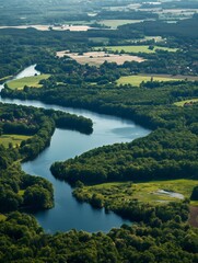 Poster - Serene River Flowing Through Dense Forest Landscape Aerial View Rural Tranquility : Generative AI