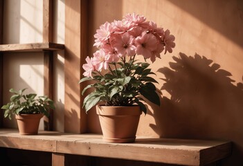 Poster - Capturing the Beauty of a Red Bloom in Radiant Sunlight