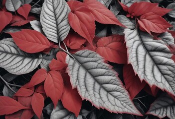 Poster - A Closer Look at the Intricate Textures of Red Leaves