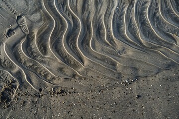 Poster - Beautiful patterns on a sandy beach at low tide with gentle waves creating a serene landscape in the sunlight