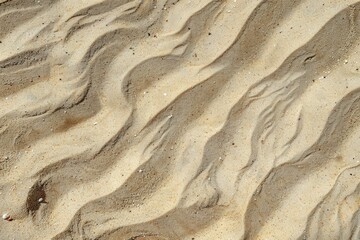 Poster - Beautiful patterns on a sandy beach at low tide with gentle waves creating a serene landscape in the sunlight