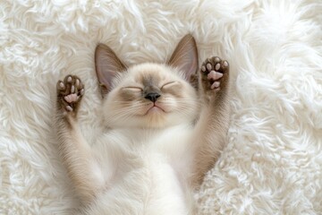 Poster - Adorable kitten sleeping peacefully on a fluffy white blanket, paws up.