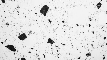 Poster - Terrazzo marbled floor texture in black and white showcasing polished granite stone surface with abstract patterns and details.
