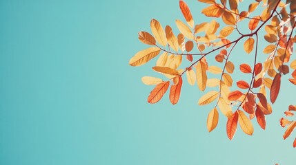 Poster - Tamarind leaves against a serene blue sky showcasing vibrant colors of nature in a tranquil setting
