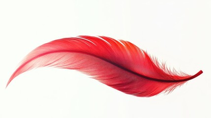 Poster - Vibrant red feather isolated on a white background showcasing intricate details and smooth texture. Perfect for creative projects and designs.
