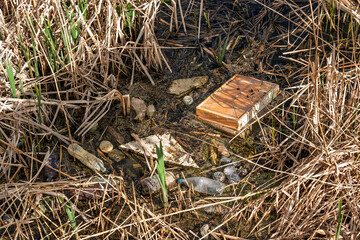 Wall Mural - boxes of empty bottles in the water on the shore in the reeds