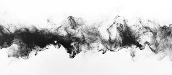 Poster - black abstract smoke tendrils on white background ideal for creative design and text placement with 