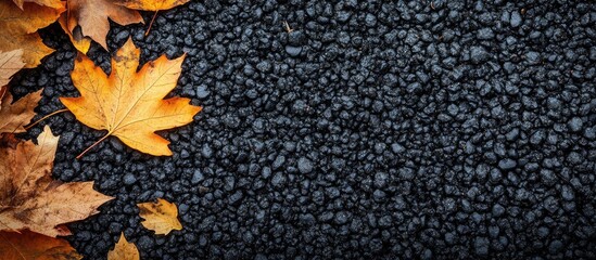 Poster - Autumn maple leaves on asphalt creating a textured background with empty space ideal for autumn themed designs or text placement