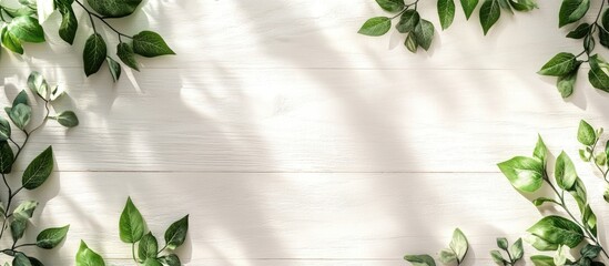 Poster - Minimalist greenery banner on rustic wooden background with natural light creating a calming atmosphere and ample space for text addition