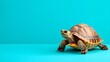 © VISA-3UK - Realistic Turtle on Vibrant Turquoise Background for Nature Themes