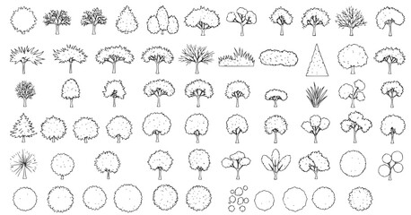 Top view and side view, set of graphics trees elements outline symbol for architecture and landscape design drawing. Vector illustration