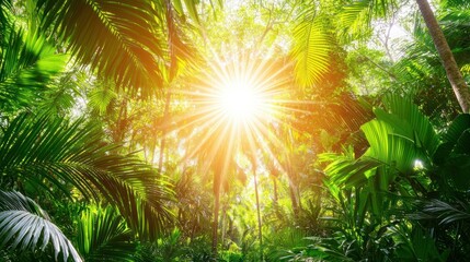 Wall Mural - lush tropical rainforest canopy with bright sunlight shining through leaves.