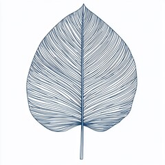 Poster - Detailed line drawing of a single leaf, navy blue on white background.