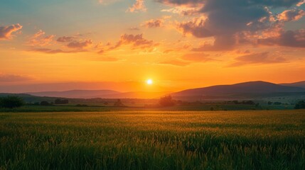 Wall Mural - Beautiful blazing sunset landscape at over the meadow and orange sky above it