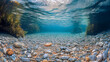 © sid - A serene underwater scene showcasing pebbles and aquatic vegetation, ideal for themes of nature, tranquility, or marine environments in educational and commercial contexts.
