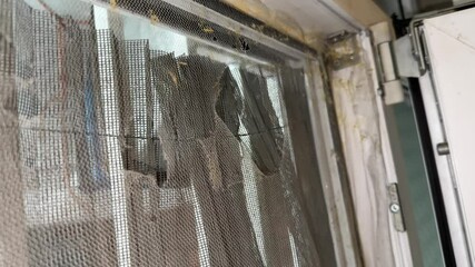 broken teared damaged old net window mesh metal texture pattern dusty surface frame house flat apart