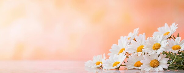 Poster - Pastel floral idea. A beautiful arrangement of daisies against a soft, warm background, symbolizing freshness.