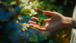 © Shahin - A hand holds a four-leaf clover in sunlight. Close-up of a hand gently holding a vibrant four-leaf clover.