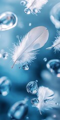 Poster - A close up of a feather with water droplets surrounding it. Concept of serenity and calmness, as the feather and water droplets seem to be floating effortlessly in the air
