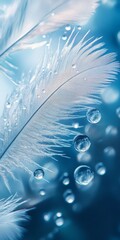 Poster - A feather with water droplets on it. The feather is white and the water droplets are clear
