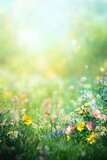 Soft focus spring meadow with colorful wildflowers under gentle sunlight