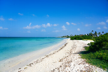 White sandy beaches in Aruba 