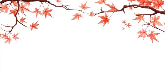 Poster - vibrant autumn leaves on maple branch against white background with space for text and seasonal desi