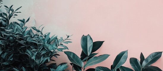 Poster - muted pastel background with lush green foliage providing elegant space for text or design elements 