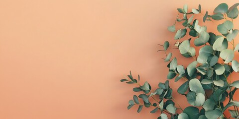 Poster - eucalyptus leaves on warm canvas background with space for text in elegant minimalist design