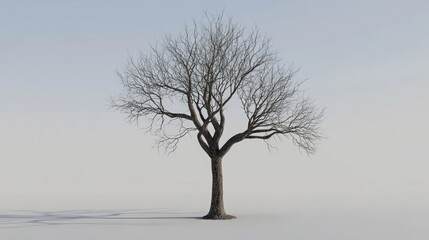 Aufkleber - Bare tree silhouette against a minimalist winter landscape showcasing the beauty of nature in its dormant state without leaves