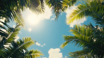 Poster - Tropical palm tree tops against a bright blue sky creating a serene and inviting summer nature background.