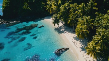 Poster - Serene aerial view of a tropical beach featuring palm trees and a clear blue lagoon surrounded by lush greenery