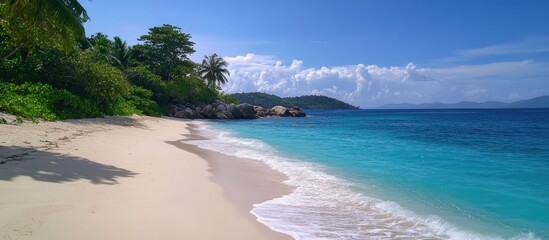 Poster - Tranquil tropical beach with white sand and vibrant turquoise ocean under a clear blue sky surrounded by lush greenery and palm trees.