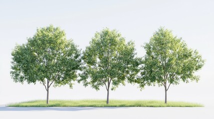 Aufkleber - Lush green trees with vibrant foliage set against a clean white background showcasing natural beauty and serenity in a minimalistic design