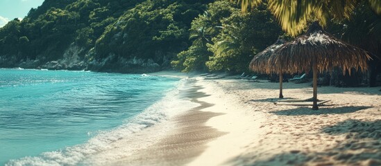 Poster - Serene tropical beach with soft waves, lush greenery, and thatched umbrellas under a clear blue sky inviting relaxation and tranquility.