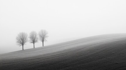 Aufkleber - Misty landscape featuring bare trees on a hillside under a foggy sky offering a serene and tranquil atmosphere in monochrome tones