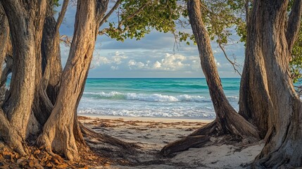 Poster - Beachview through tree trunks with crystalline sea and sandy shore under a partly cloudy sky in a serene coastal landscape.