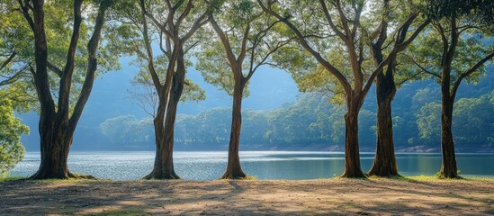 Poster - Serene river landscape with trees reflecting sunlight at tranquil national park setting.