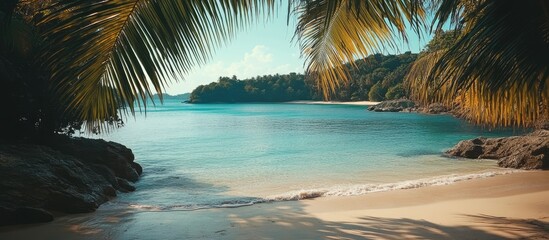 Poster - Tranquil tropical beach view framed by palm trees with clear blue waters and a serene bay in the background under a bright sky