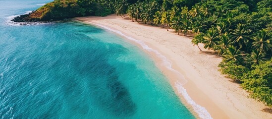 Leinwandbilder - Tropical beach scene with golden sand and clear turquoise ocean surrounded by lush greenery and palm trees.
